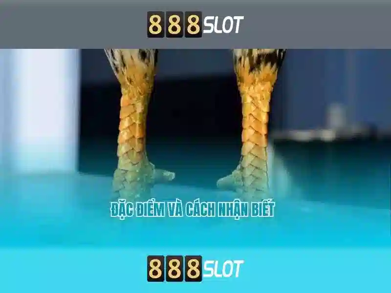 Hệ thống bảo mật 888SLOT