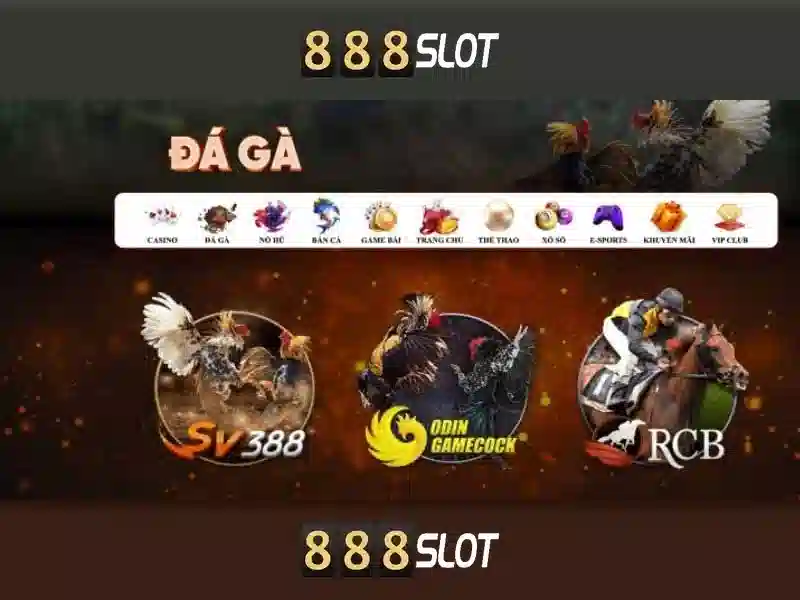 dịch vụ hỗ trợ 24/7