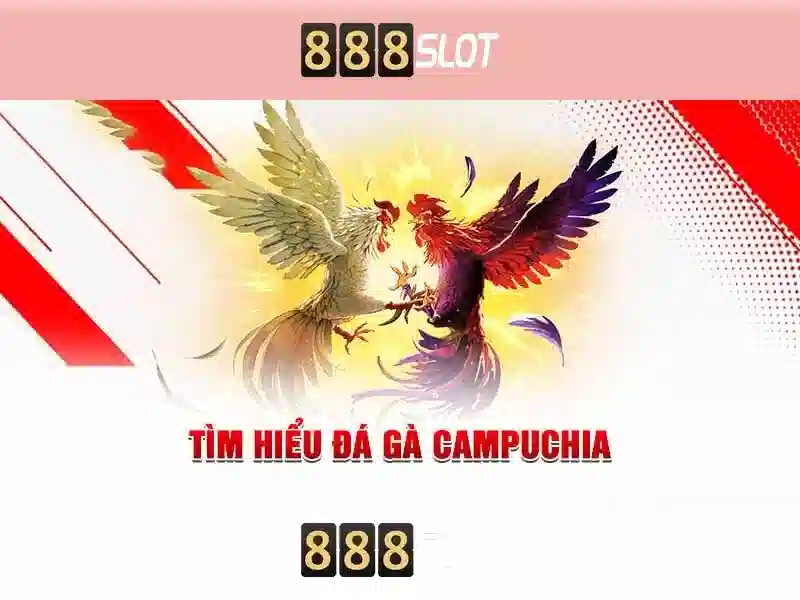Hướng dẫn tải 888slot APK