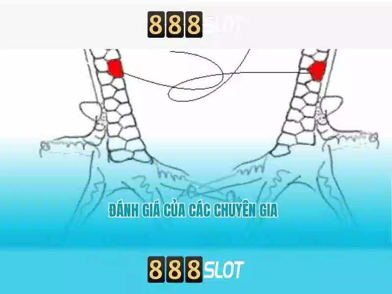 chính sách nạp tiền 888slot