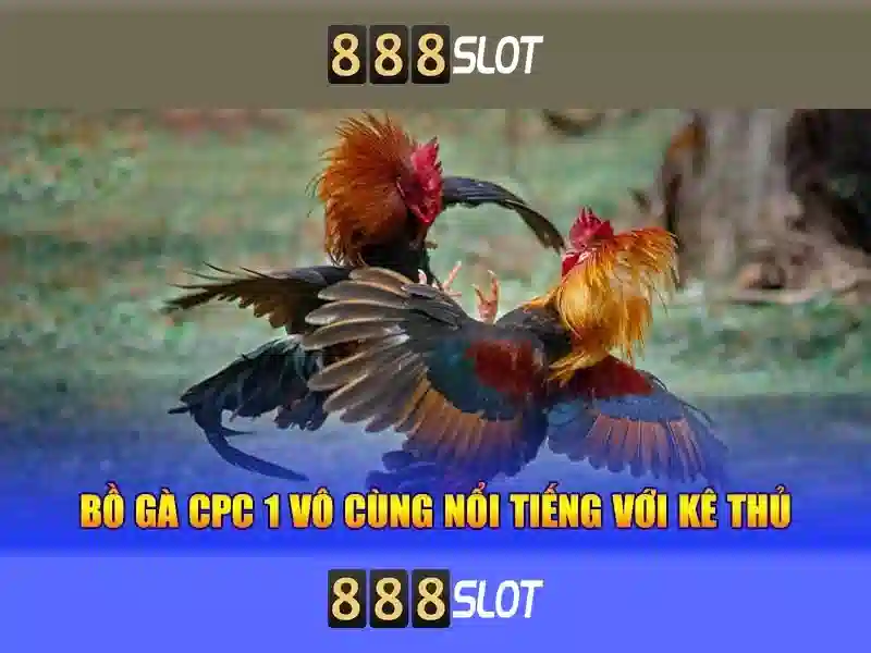Chăm Sóc Khách Hàng 888slot