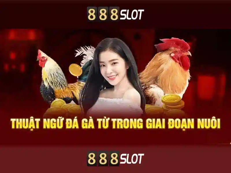 Hướng Dẫn Tham Gia Slot 123