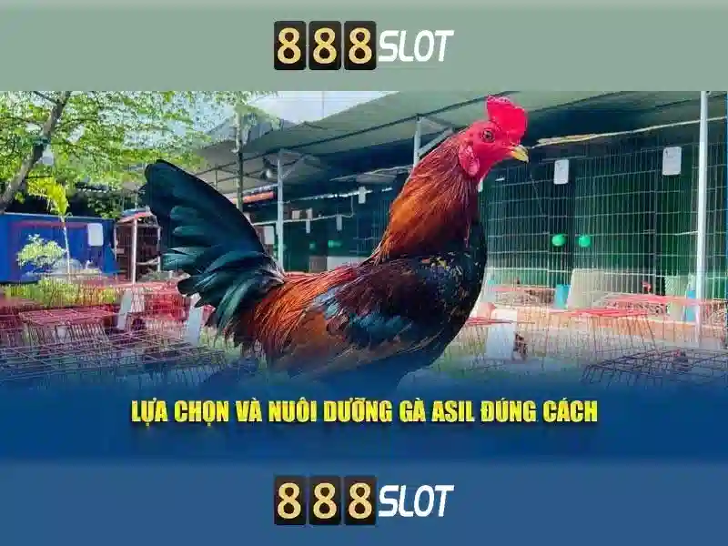 Khuyến mãi độc quyền cho thành viên