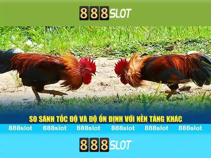 Phương Thức Tham Gia Trải Nghiệm Người Dùng 888slot