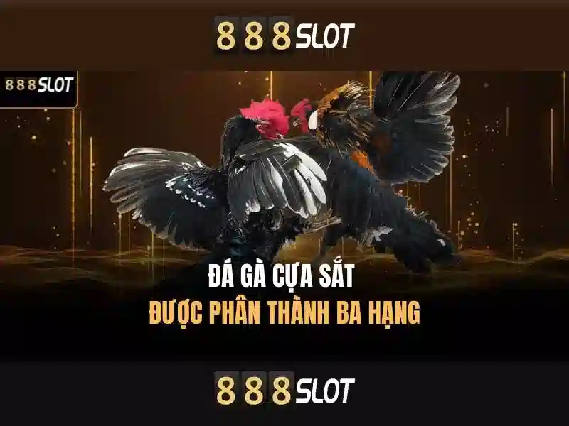 Khuyến mãi Slot 2026