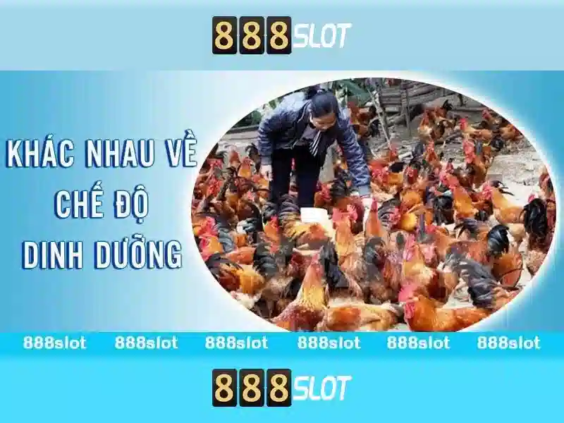 Trải nghiệm Slot đa dạng với 888slot Store