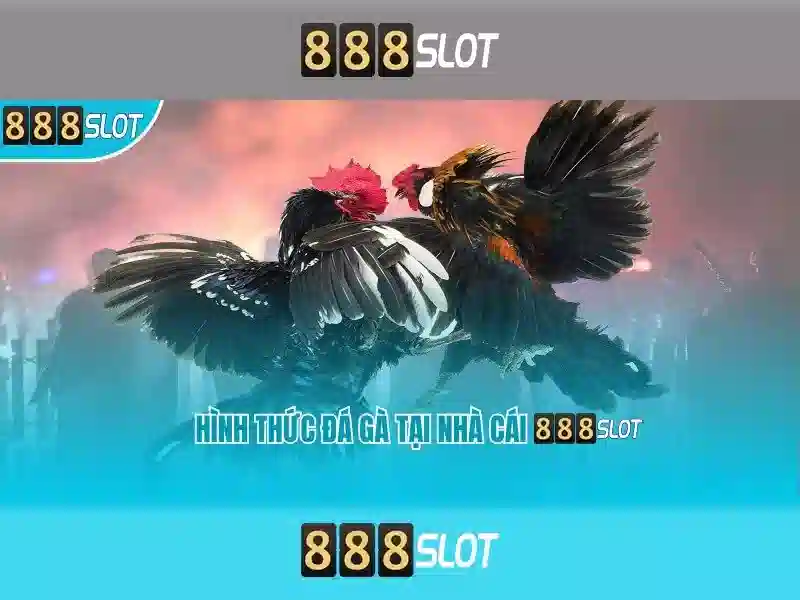 Nền Tảng SLOT 888SLOT