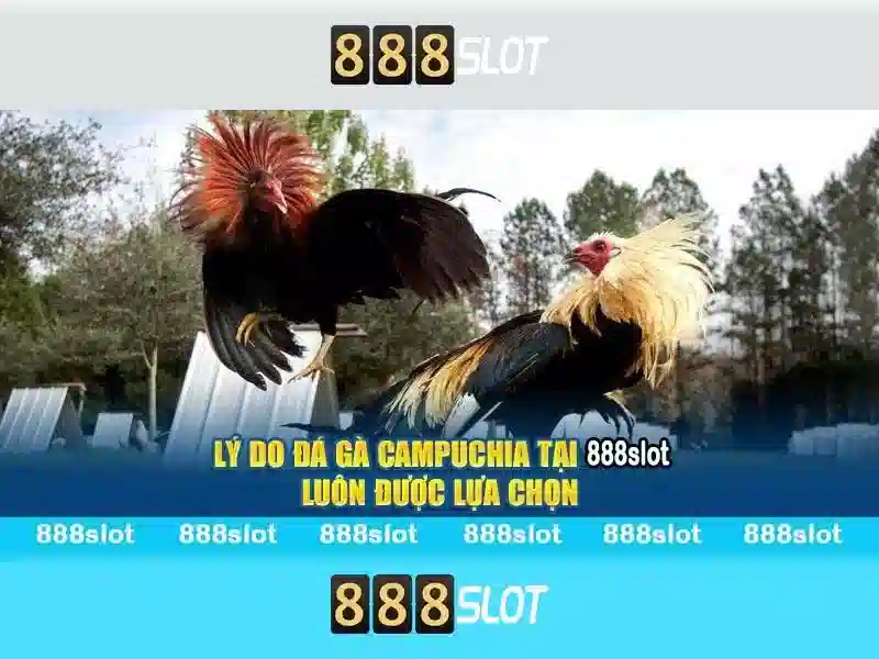 Mã Nhận Thưởng 888Slot