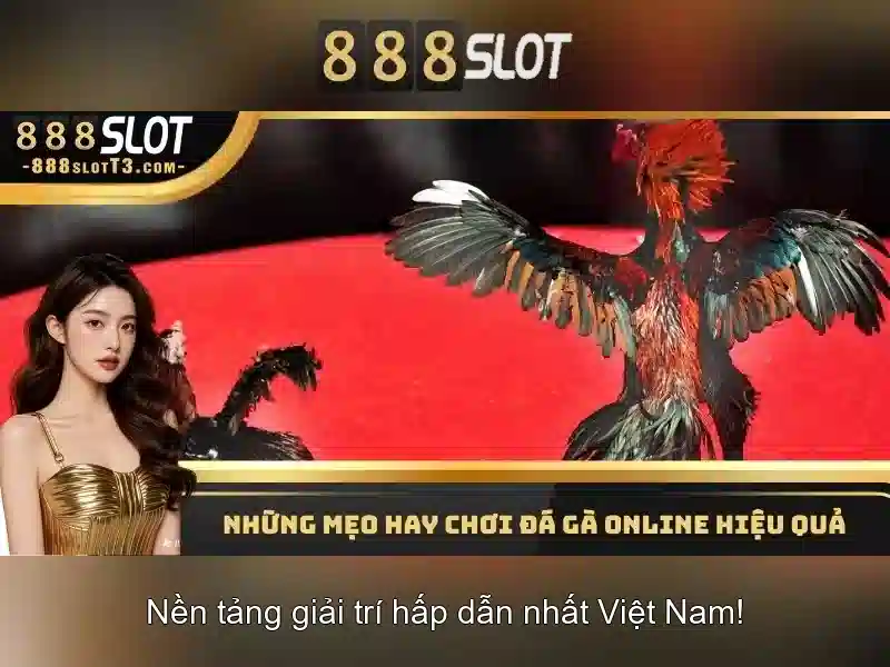 Khuyến mãi 888slot dành cho thành viên