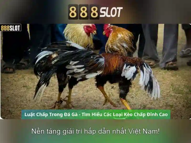 ưu điểm 888SLOT