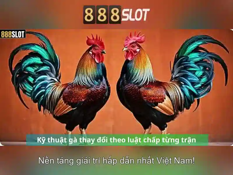 Ưu Đãi Đặc Biệt 888SLOT