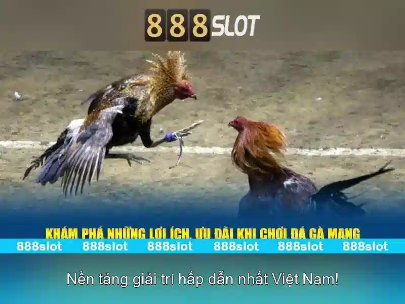 Trò chơi slot đa dạng