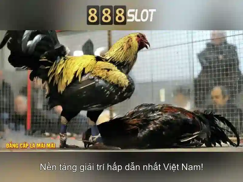 Lựa chọn game slot