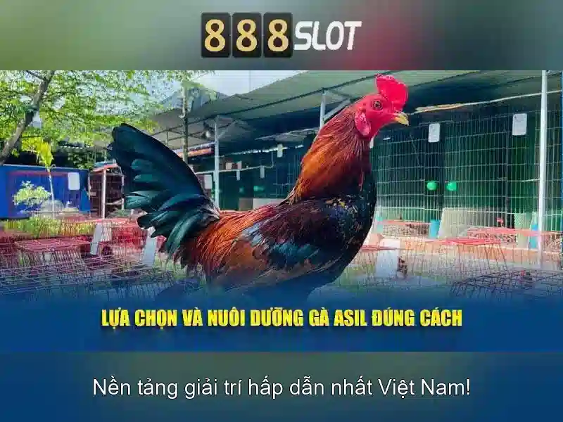 888SLOT slot game