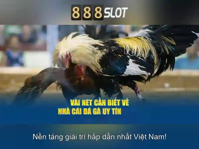 Trải nghiệm Slot đỉnh cao 888SLOT
